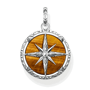 THOMAS SABO prívesok Compass tiger‘s eye PE833-826-2