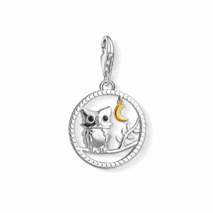 THOMAS SABO strieborný prívesok charm 1392-427-11