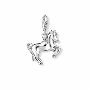 THOMAS SABO strieborný prívesok charm 1074-007-12