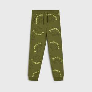 Sinsay - Joggery - Khaki