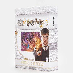 Sinsay - Puzzle Harry Potter - Viacfarebná