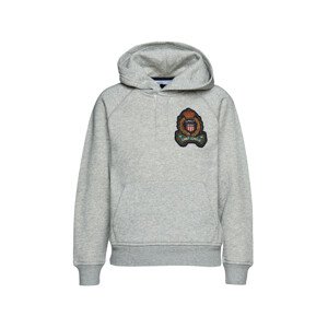 MIKINA GANT D1. US. ROYALTY HOODIE HR šedá 134/140