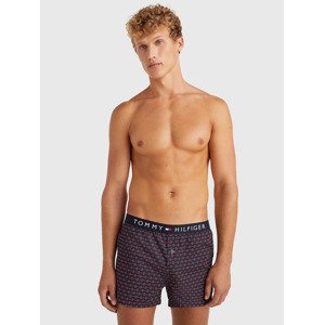 Tommy Hilfiger Underwear Trenírky Modrá