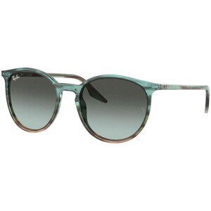 Ray-Ban RB2204 1394GK - L (54)