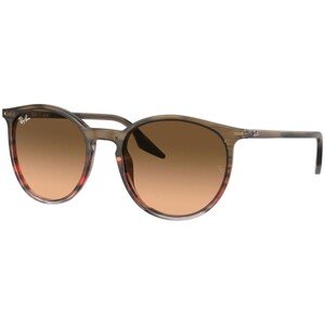 Ray-Ban RB2204 13953B - L (54)