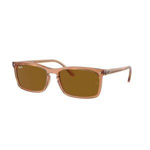 Ray-Ban RB4435 676433 - M (56)