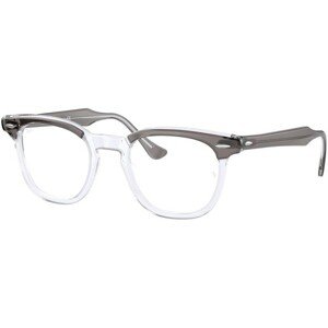 Ray-Ban Hawkeye RX5398 8111 - L (50)