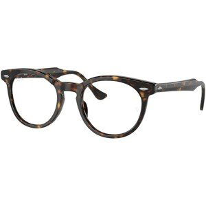 Ray-Ban Eagleeye RX5598 2012 - L (51)