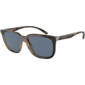 Arnette Plaka AN4306 27702V Polarized - ONE SIZE (54)