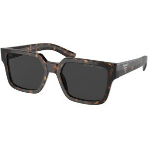 Prada PR03ZS 2AU08G Polarized - ONE SIZE (54)