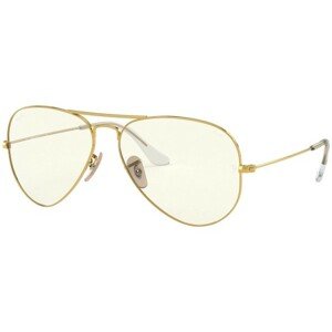 Ray-Ban Aviator Everglasses RB3025 001/5F - S (55)