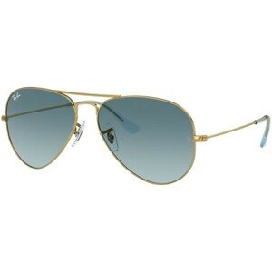 Ray-Ban Aviator RB3025 001/3M - S (55)