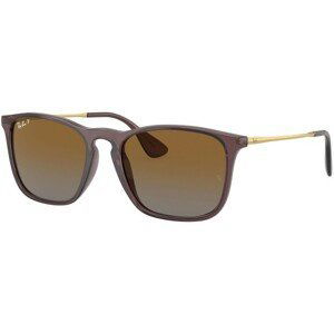 Ray-Ban Chris RB4187 6593T5 Polarized - ONE SIZE (54)