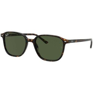 Ray-Ban Leonard RB2193 902/31 - M (53)