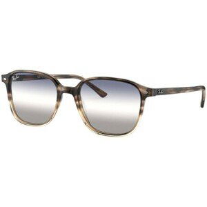 Ray-Ban Leonard RB2193 1327GF - M (53)