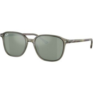 Ray-Ban Leonard RB2193 66355C - S (51)