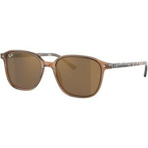 Ray-Ban Leonard RB2193 663693 - M (51)