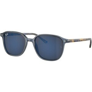 Ray-Ban Leonard RB2193 6638O4 - S (51)