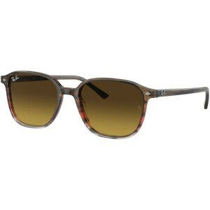 Ray-Ban Leonard RB2193 138085 - M (53)