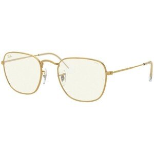 Ray-Ban Frank Everglasses RB3857 9196BL - L (51)