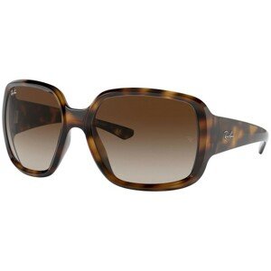 Ray-Ban Powderhorn RB4347 710/13 - ONE SIZE (60)