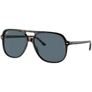 Ray-Ban Bill RB2198 902/R5 - M (56)