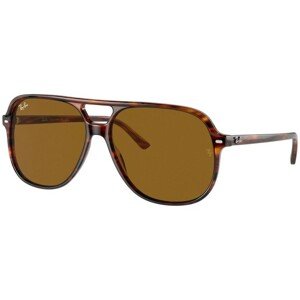 Ray-Ban Bill RB2198 954/33 - L (60)