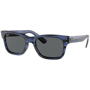 Ray-Ban Mr Burbank RB2283 1339B1 - L (55)