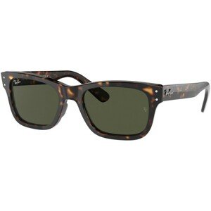 Ray-Ban Mr Burbank RB2283 902/31 - L (55)