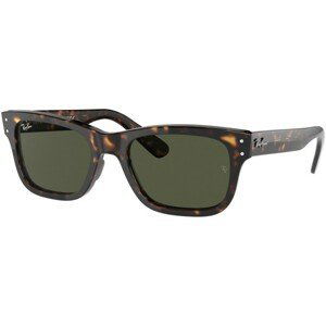 Ray-Ban Mr Burbank RB2283 902/31 - L (58)