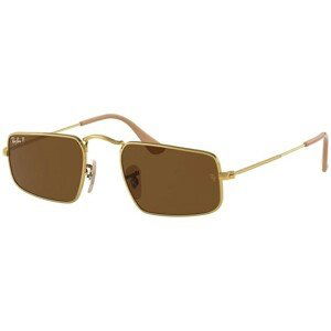 Ray-Ban Julie RB3957 919657 Polarized - L (49)