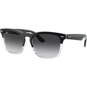 Ray-Ban Steve RB4487 66308G - ONE SIZE (54)