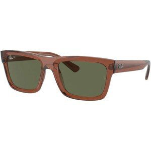 Ray-Ban Warren RB4396 66789A - M (54)