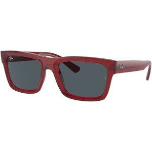 Ray-Ban Warren RB4396 667987 - M (54)