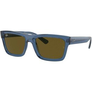 Ray-Ban Warren RB4396 668073 - M (54)