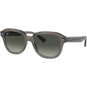 Ray-Ban Erik RB4398 667571 - L (53)