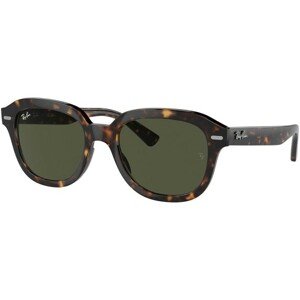 Ray-Ban Erik RB4398 902/31 - L (53)