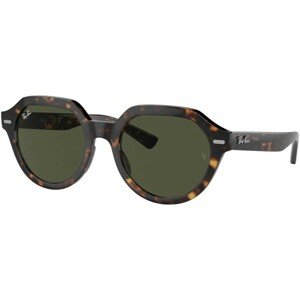 Ray-Ban Gina RB4399 902/31 - L (53)