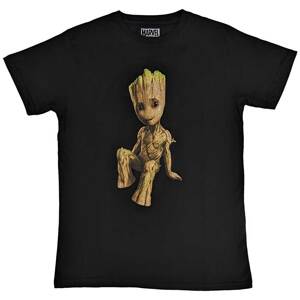 Marvel tričko Guardians of the Galaxy Groot Perch Čierna L