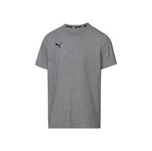 Puma Pánske tričko TeamGoal 23 Casual (XXL, sivá)