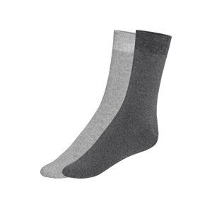 LIVERGY® Pánske termoponožky, 2 páry (43/46, bledosivá/tmavosivá)