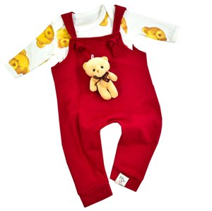 Baby Cool 2dielny set pre bábätká- Teddy, bordový veľkosť: 12 mesiac