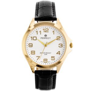 Pánske hodinky PERFECT Retro C412-F (zp334c)