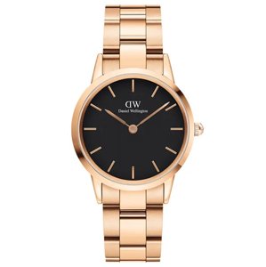 Dámske hodinky  DANIEL WELLINGTON DW00100212 - ICONIC LINK (zx706b)