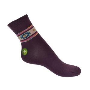Fialové ponožky LINES