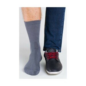 Regina Socks Polofroté Bambus Pánské ponožky