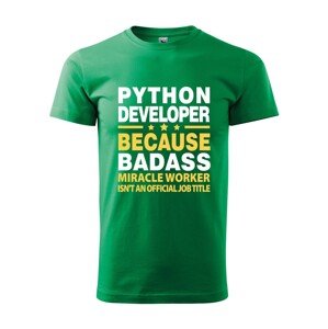 Pánske tričko pre programátorov Python developer