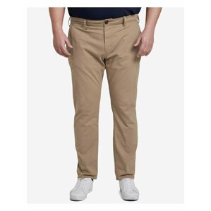 Voľnočasové nohavice pre mužov Tom Tailor - hnedá