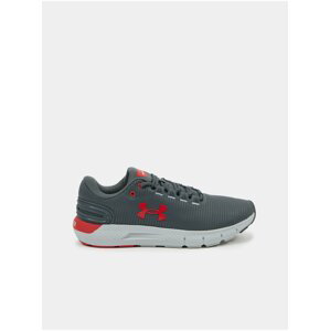 Topánky Under Armour UA Charged Rogue 2.5 Storm-GRY