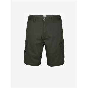 Tmavozelené pánske šortky O'Neill LM COMPLEX CARGO SHORTS